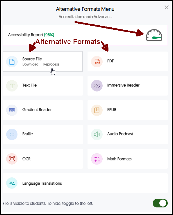 Screenshot of the Document Accessibility score and alternate formats menu.