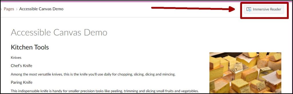 Screenshot showing a Canvas page with an arrow pointing to the Immersive Reader button at the top. 