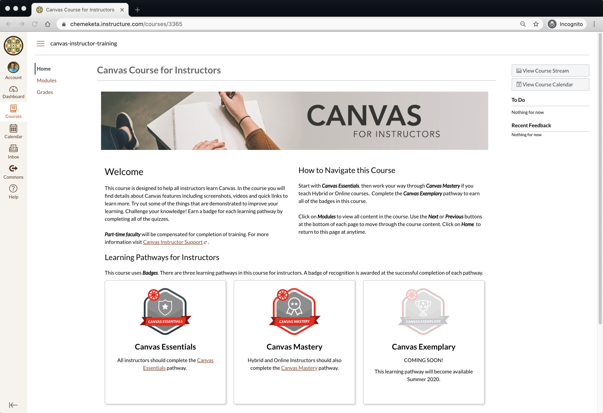 Screenshot of the Canvas for Instructors course.