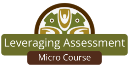 Leveraging Assessment Micro Course