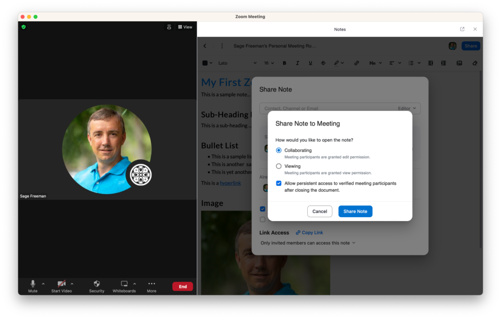 Screenshot showing the Zoom sharing and collaboration features for Notes for Meetings.