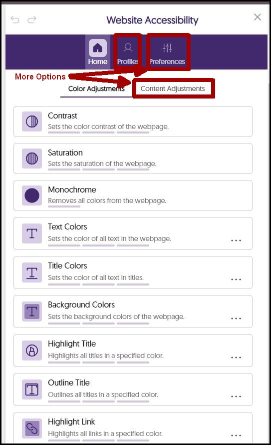 Screenshot of the Accessibility Customization Widget.